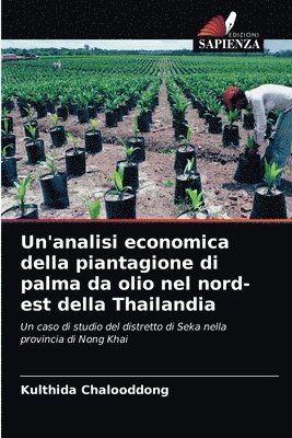 Un'analisi economica della piantagione di palma da olio nel nord-est della Thailandia 1