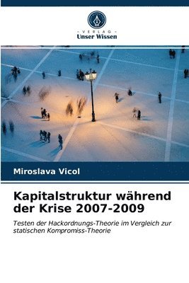 Kapitalstruktur whrend der Krise 2007-2009 1