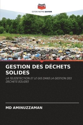 bokomslag Gestion Des Déchets Solides