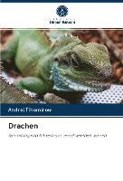 Drachen 1