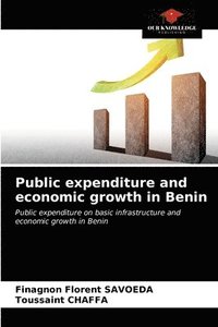 bokomslag Public expenditure and economic growth in Benin