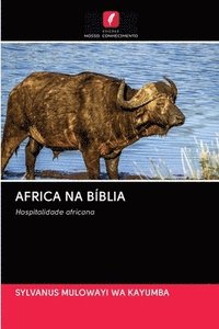 bokomslag Africa Na Bblia