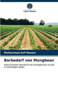 bokomslag Borbedarf von Mungbean