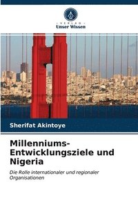 bokomslag Millenniums-Entwicklungsziele und Nigeria