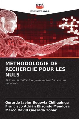 bokomslag Méthodologie de Recherche Pour Les Nuls