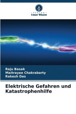 Raju Basak, Maitrayee Chakrabarty, Rakesh Das - Elektrische Gefahren und Katastrophenhilfe, Häftad
