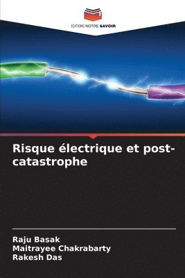 Raju Basak, Maitrayee Chakrabarty, Rakesh Das - Risque électrique et post-catastrophe, Häftad