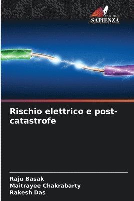 bokomslag Rischio elettrico e post-catastrofe