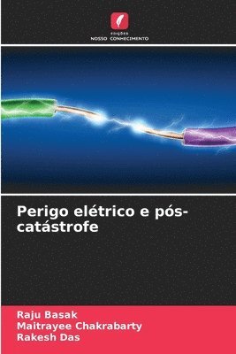 Raju Basak, Maitrayee Chakrabarty, Rakesh Das - Perigo elétrico e pós-catástrofe, Häftad
