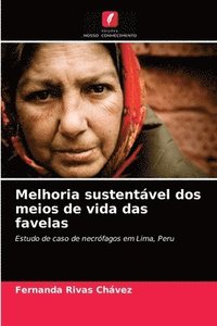 bokomslag Melhoria sustentvel dos meios de vida das favelas