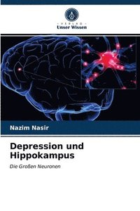 bokomslag Depression und Hippokampus