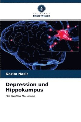 Depression und Hippokampus 1
