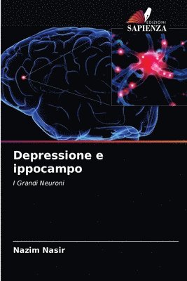 Depressione e ippocampo 1