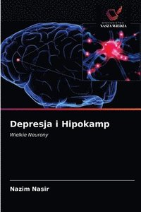 bokomslag Depresja i Hipokamp