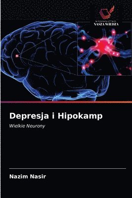 Depresja i Hipokamp 1