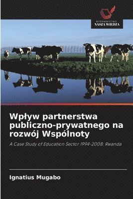 bokomslag Wplyw partnerstwa publiczno-prywatnego na rozwj Wsplnoty