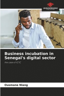 bokomslag Business incubation in Senegal's digital sector