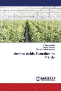 bokomslag Amino Acids Function in Plants