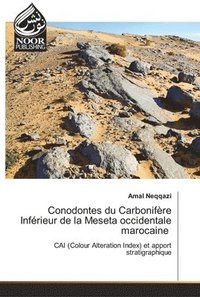 bokomslag Conodontes du Carbonifre Infrieur de la Meseta occidentale marocaine