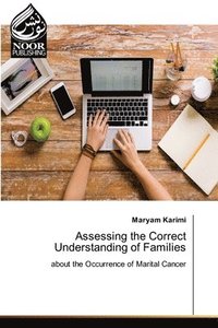 bokomslag Assessing the Correct Understanding of Families
