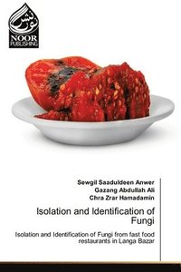 bokomslag Isolation and Identification of Fungi