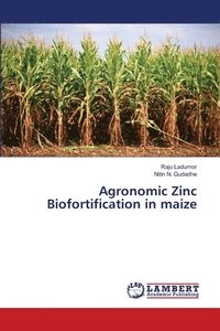 bokomslag Agronomic Zinc Biofortification in maize