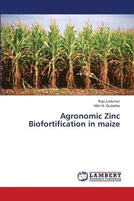 Agronomic Zinc Biofortification in maize 1