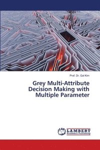 bokomslag Grey Multi-Attribute Decision Making with Multiple Parameter