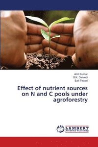 bokomslag Effect of nutrient sources on N and C pools under agroforestry