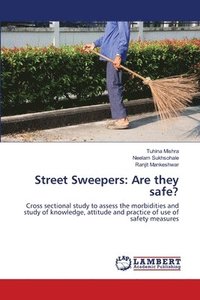 bokomslag Street Sweepers