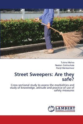 bokomslag Street Sweepers