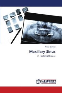 bokomslag Maxillary Sinus