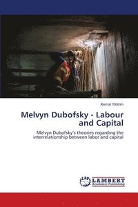 bokomslag Melvyn Dubofsky - Labour and Capital