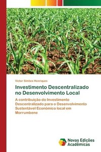 bokomslag Investimento Descentralizado no Desenvolvimento Local