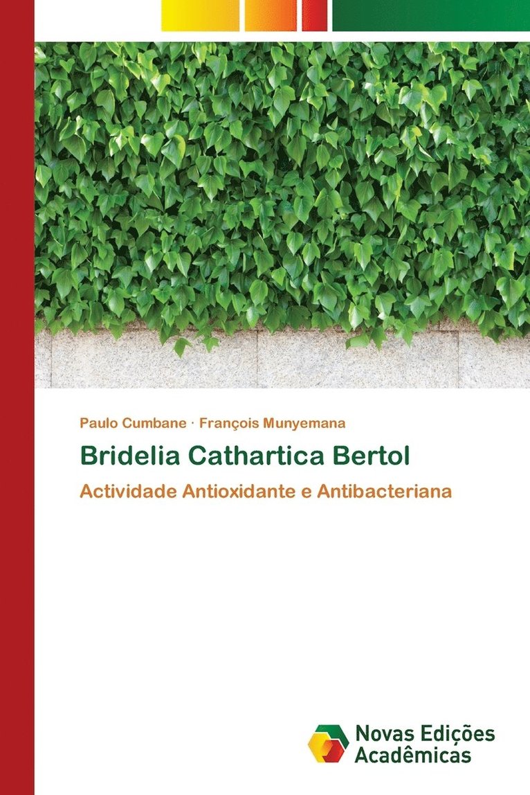 Bridelia Cathartica Bertol 1