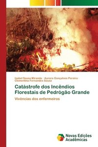 bokomslag Catstrofe dos Incndios Florestais de Pedrgo Grande