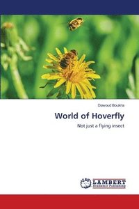 bokomslag World of Hoverfly