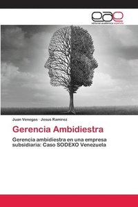 bokomslag Gerencia Ambidiestra