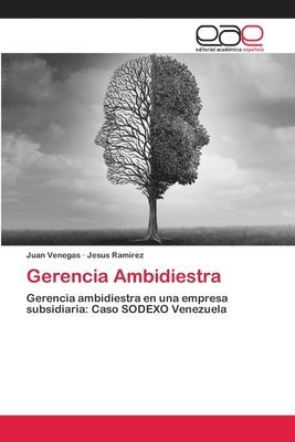 Gerencia Ambidiestra 1