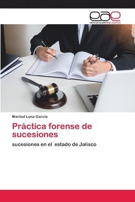 bokomslag Practica forense de sucesiones