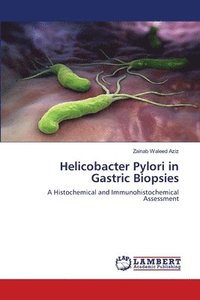 bokomslag Helicobacter Pylori in Gastric Biopsies