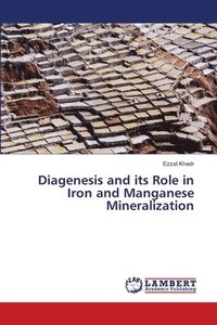 bokomslag Diagenesis and its Role in Iron and Manganese Mineralization