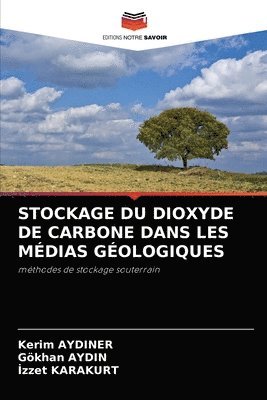 bokomslag Stockage Du Dioxyde de Carbone Dans Les Mdias Gologiques
