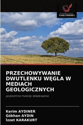 bokomslag Przechowywanie Dwutlenku W&#280;gla W Mediach Geologicznych