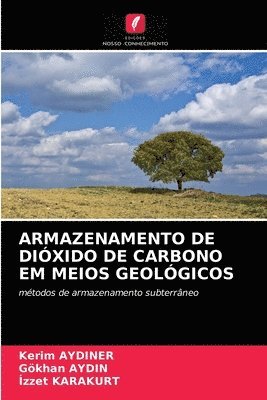 bokomslag Armazenamento de Dixido de Carbono Em Meios Geolgicos