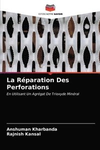 bokomslag La Rparation Des Perforations