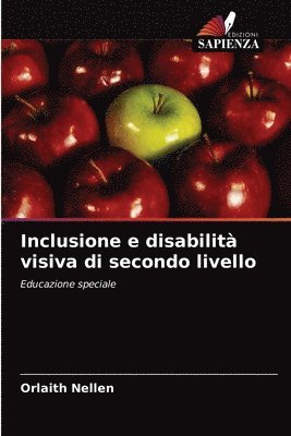 Inclusione e disabilit visiva di secondo livello 1