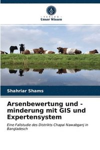 bokomslag Arsenbewertung und -minderung mit GIS und Expertensystem