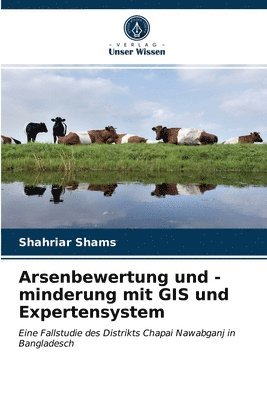 Arsenbewertung und -minderung mit GIS und Expertensystem 1