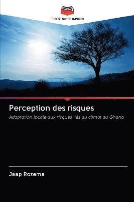 bokomslag Perception des risques